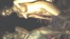 Elli Papageli topless video