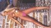 Zoe Siota topless